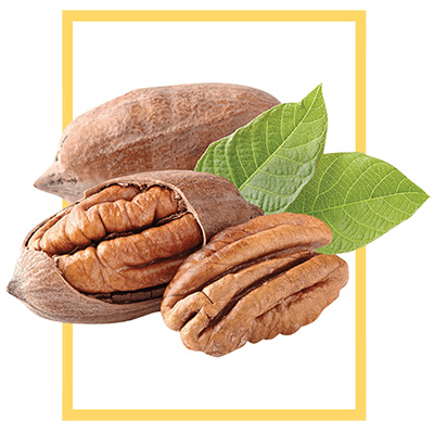 NorCal-Pecans-Our-Pecans.jpg